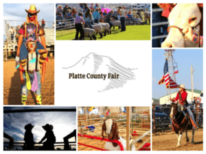 platte county fair